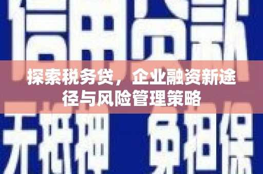 甘南探索税务贷，企业融资新途径与风险管理策略