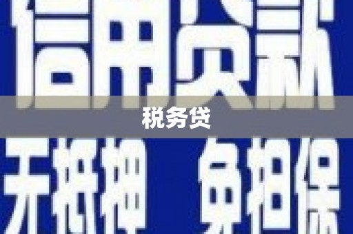 甘南税务贷