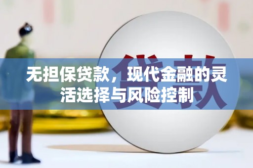 甘南无担保贷款，现代金融的灵活选择与风险控制