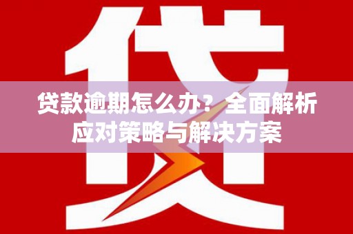 甘南贷款逾期怎么办？全面解析应对策略与解决方案