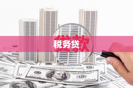 甘南税务贷
