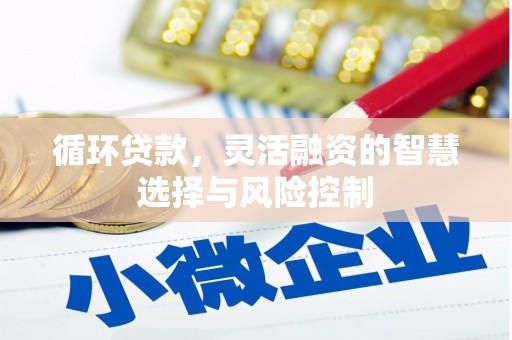 甘南循环贷款，灵活融资的智慧选择与风险控制