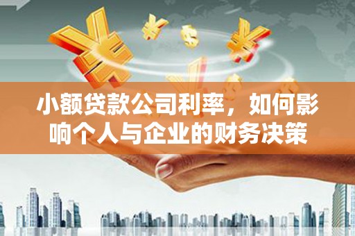 甘南小额贷款公司利率，如何影响个人与企业的财务决策