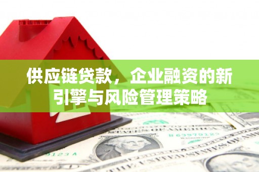 甘南供应链贷款，企业融资的新引擎与风险管理策略