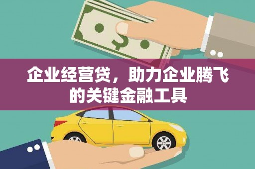 甘南企业经营贷，助力企业腾飞的关键金融工具