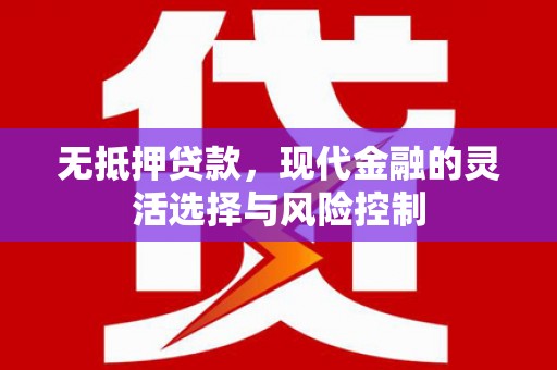 甘南无抵押贷款，现代金融的灵活选择与风险控制