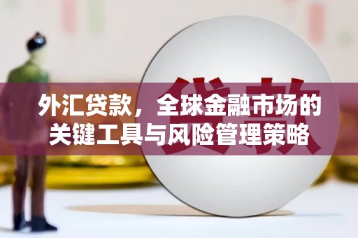 甘南外汇贷款，全球金融市场的关键工具与风险管理策略