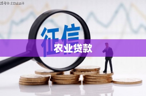 甘南农业贷款