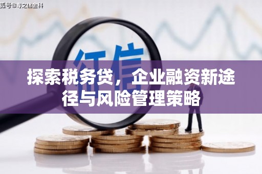 甘南探索税务贷，企业融资新途径与风险管理策略
