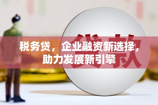 甘南税务贷，企业融资新选择，助力发展新引擎