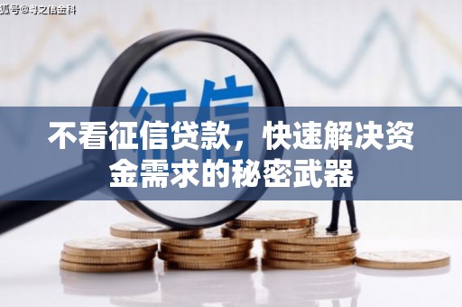 甘南不看征信贷款，快速解决资金需求的秘密武器
