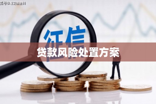 甘南贷款风险处置方案