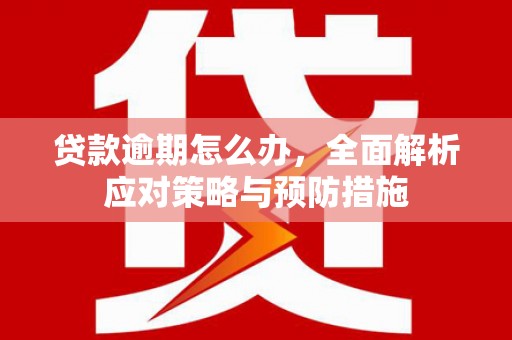 甘南贷款逾期怎么办，全面解析应对策略与预防措施