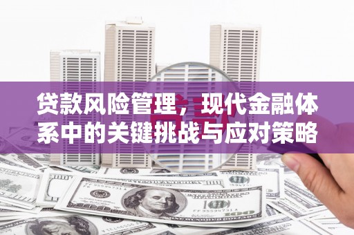 甘南贷款风险管理，现代金融体系中的关键挑战与应对策略