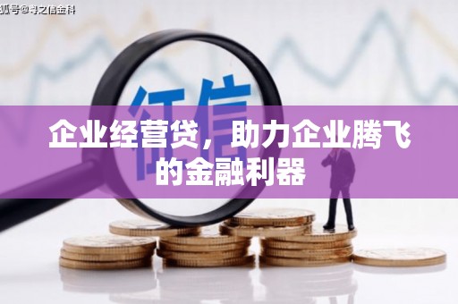 甘南企业经营贷，助力企业腾飞的金融利器
