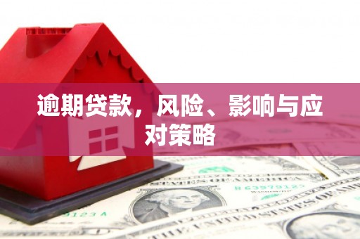 甘南逾期贷款，风险、影响与应对策略