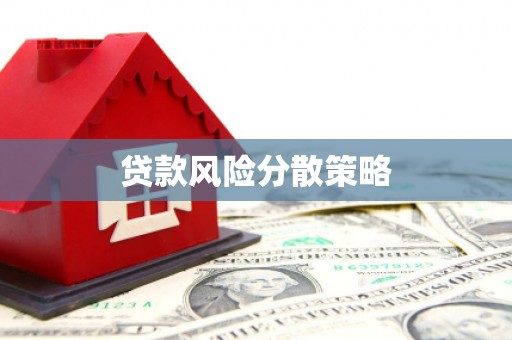 甘南贷款风险分散策略