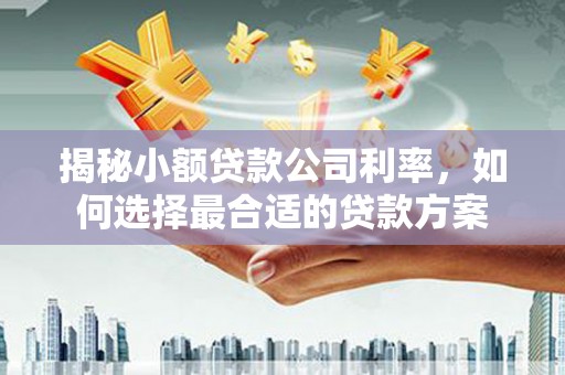 甘南揭秘小额贷款公司利率，如何选择最合适的贷款方案