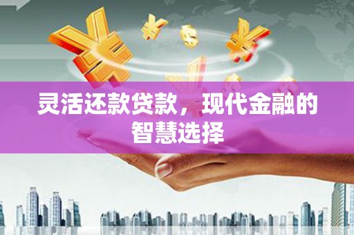 甘南灵活还款贷款，现代金融的智慧选择
