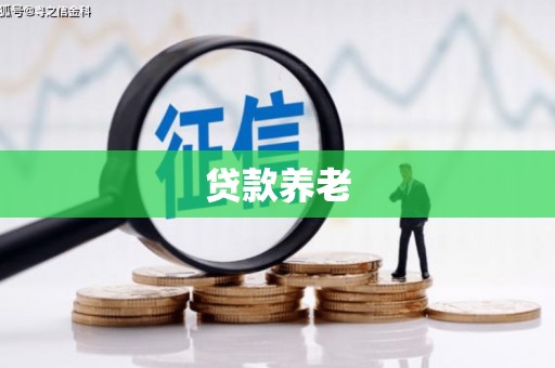 甘南贷款养老