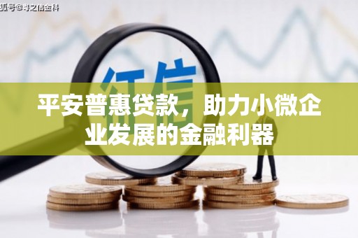 甘南平安普惠贷款，助力小微企业发展的金融利器