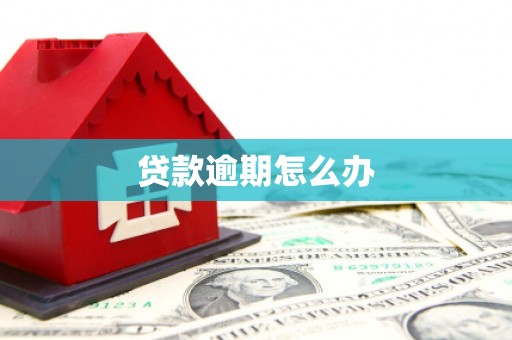 甘南贷款逾期怎么办