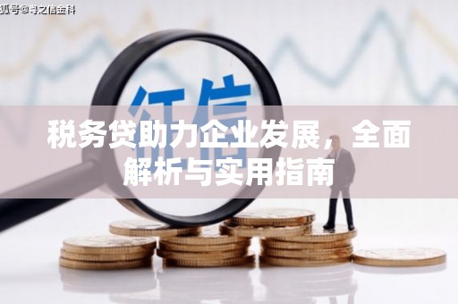 甘南税务贷助力企业发展，全面解析与实用指南
