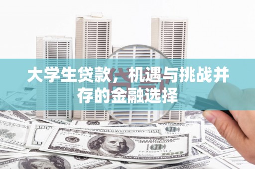甘南大学生贷款，机遇与挑战并存的金融选择