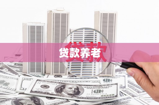 甘南贷款养老