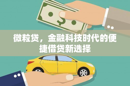 甘南微粒贷，金融科技时代的便捷借贷新选择