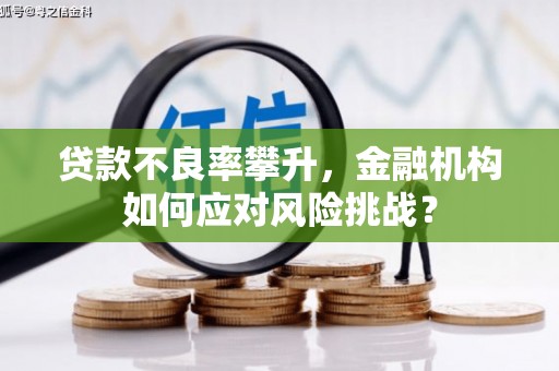 甘南贷款不良率攀升，金融机构如何应对风险挑战？