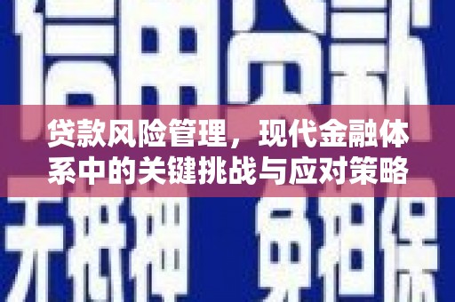 甘南贷款风险管理，现代金融体系中的关键挑战与应对策略