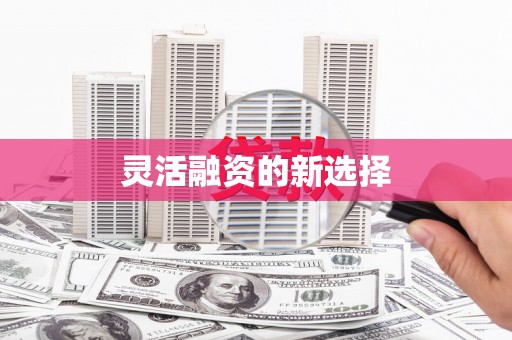 甘南灵活融资的新选择