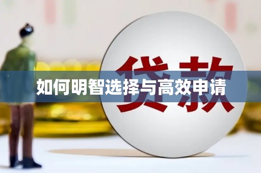 甘南如何明智选择与高效申请