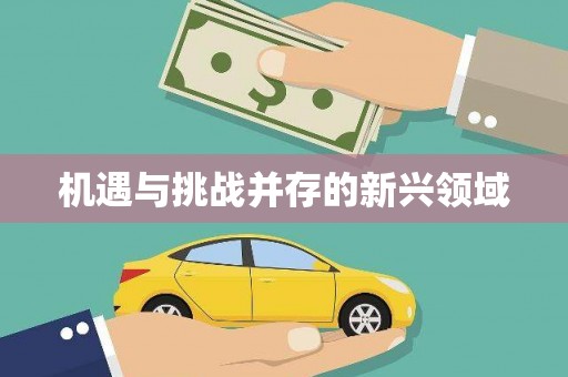 甘南机遇与挑战并存的新兴领域