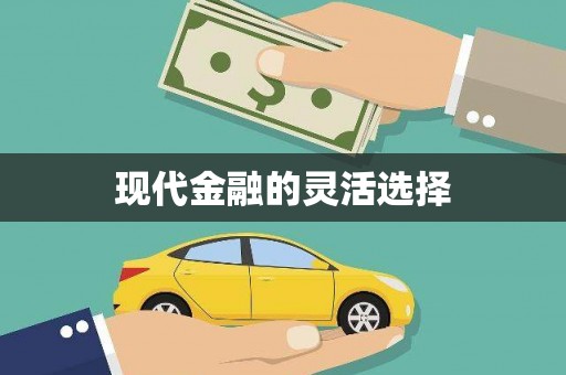 甘南现代金融的灵活选择