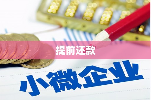 甘南提前还款