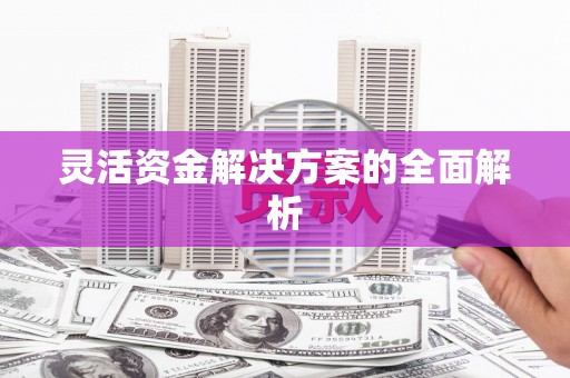 甘南灵活资金解决方案的全面解析