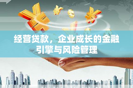 甘南经营贷款，企业成长的金融引擎与风险管理
